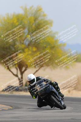 media/Apr-12-2025-Race Pace (Sat) [[9230add55f]]/Vested/6-Turn 4 Tree of Life (115pm)/